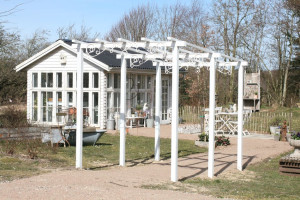 romantisk rosenhave i haven