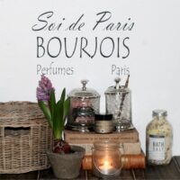 Soi de Paris Soi de Paris