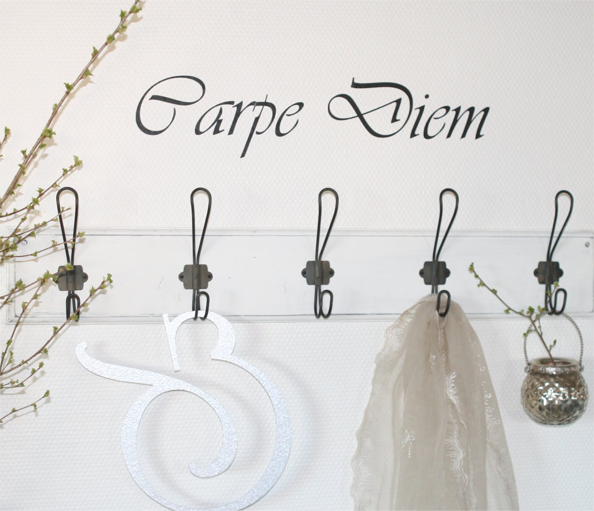 Carpe Diem Carpe Diem