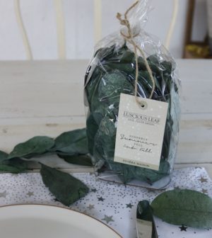 Grønne blade - Luscious Leaf Vase Filler green