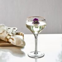 Champagneglas - Champagne Piscine Glass