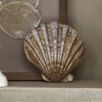 Muslingeskal - Decorative shell Loulé, S